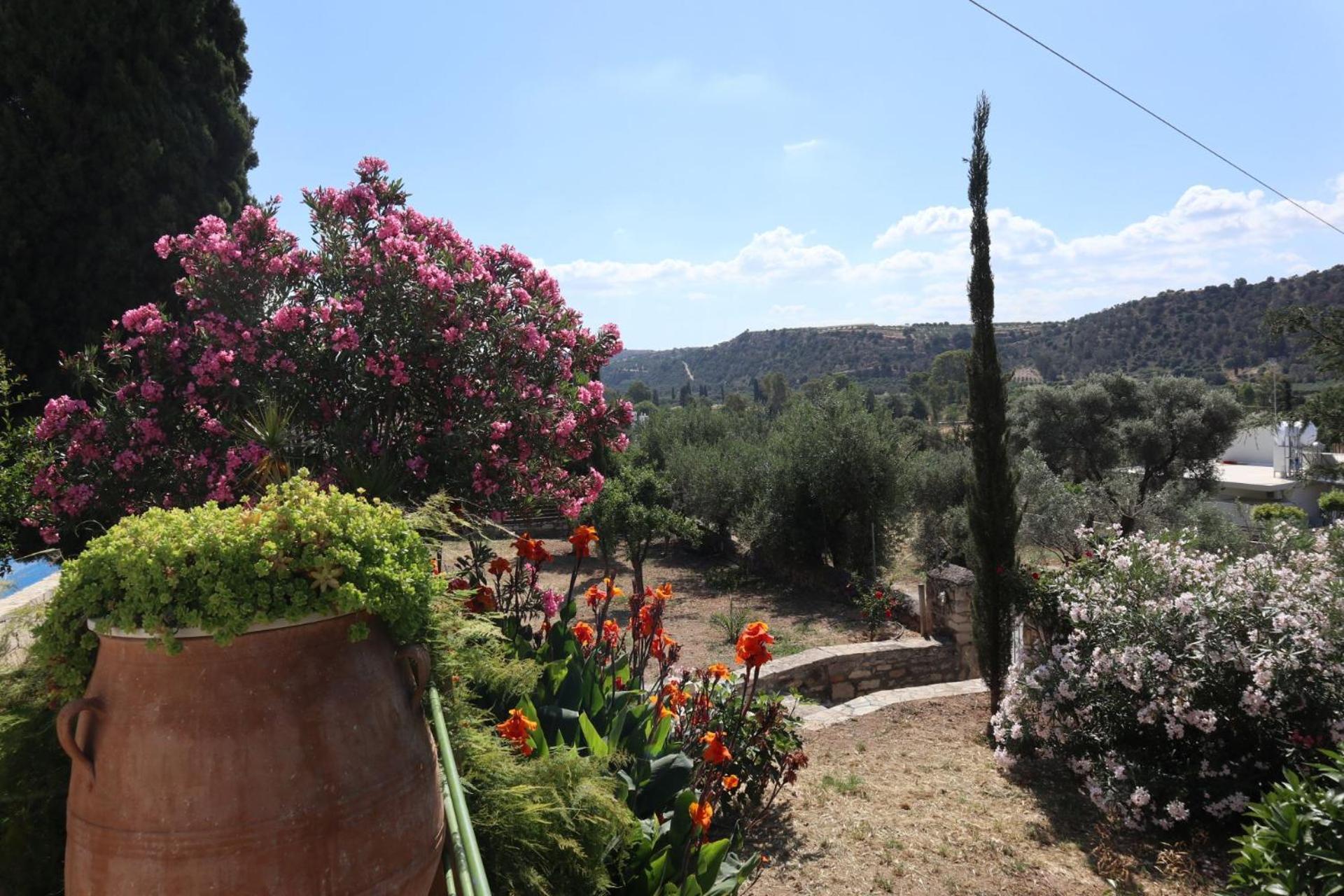 Villa Vigles Vóroi Dış mekan fotoğraf